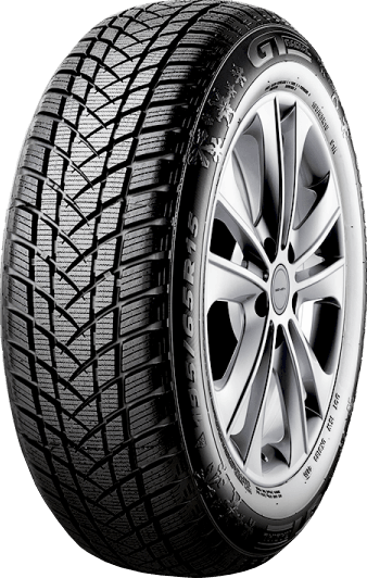 GT RADIAL 205/55R17 95H XL WINTERPRO2 (EVO) MS GT RADIAL zimska guma