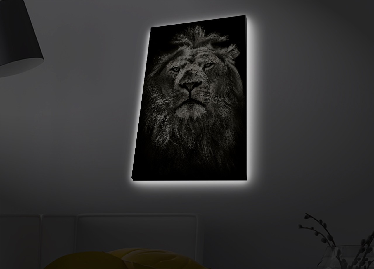 Slika na platnu Wallity sa LED osvetljenjem 45x70cm