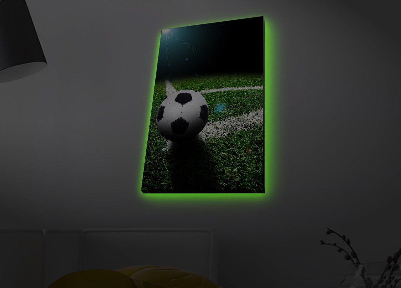 Slika na platnu Wallity sa LED osvetljenjem 45x70cm