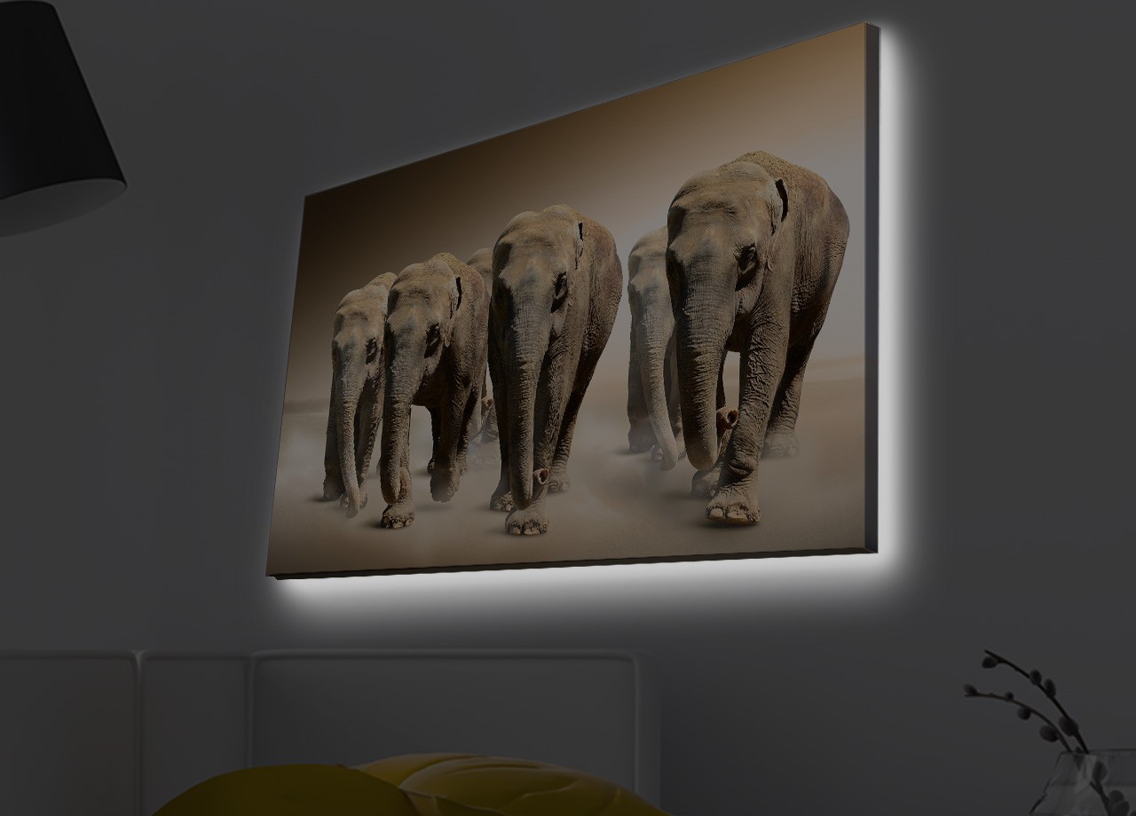 Slika na platnu Wallity sa LED osvetljenjem 45x70cm