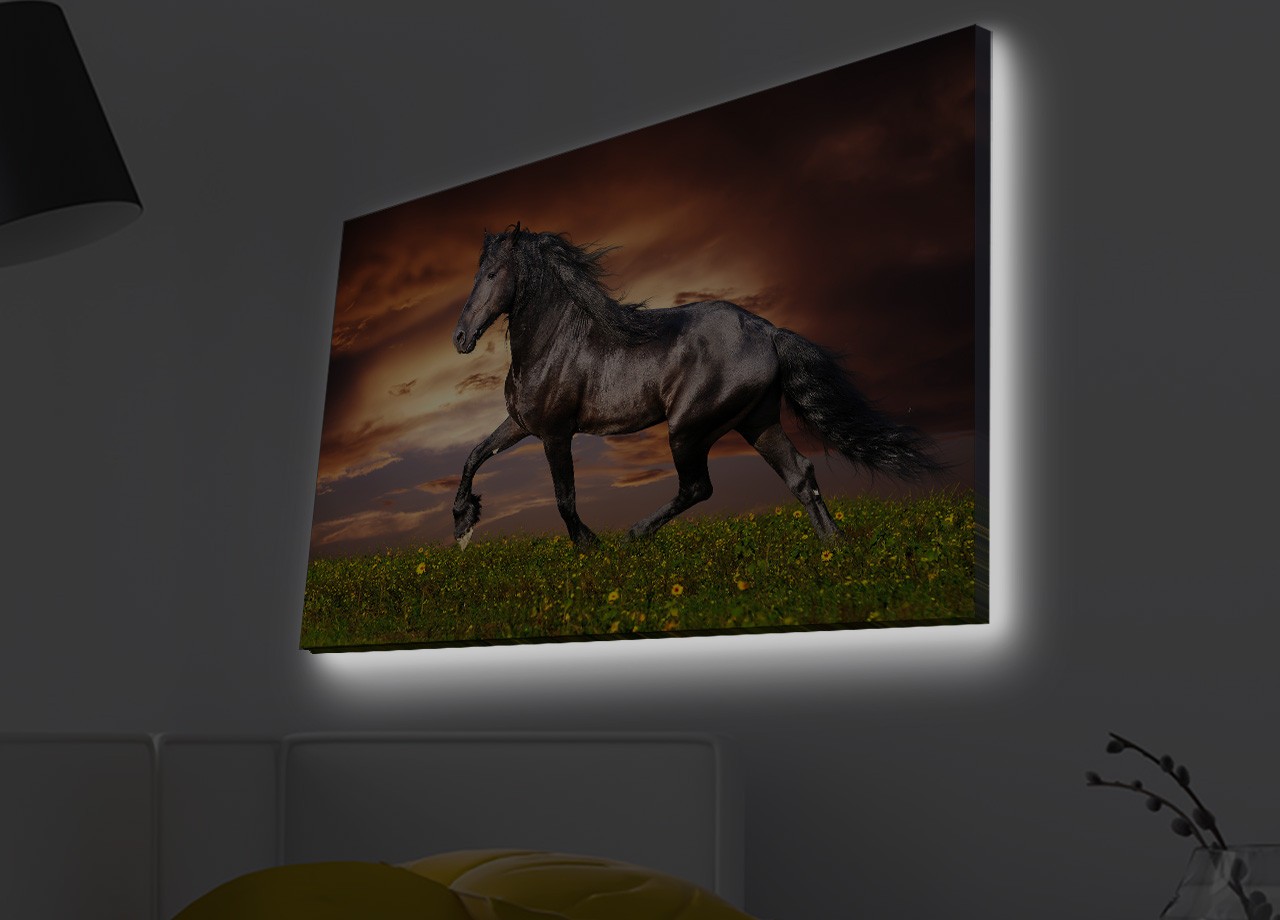 Slika na platnu Wallity sa LED osvetljenjem 45x70cm