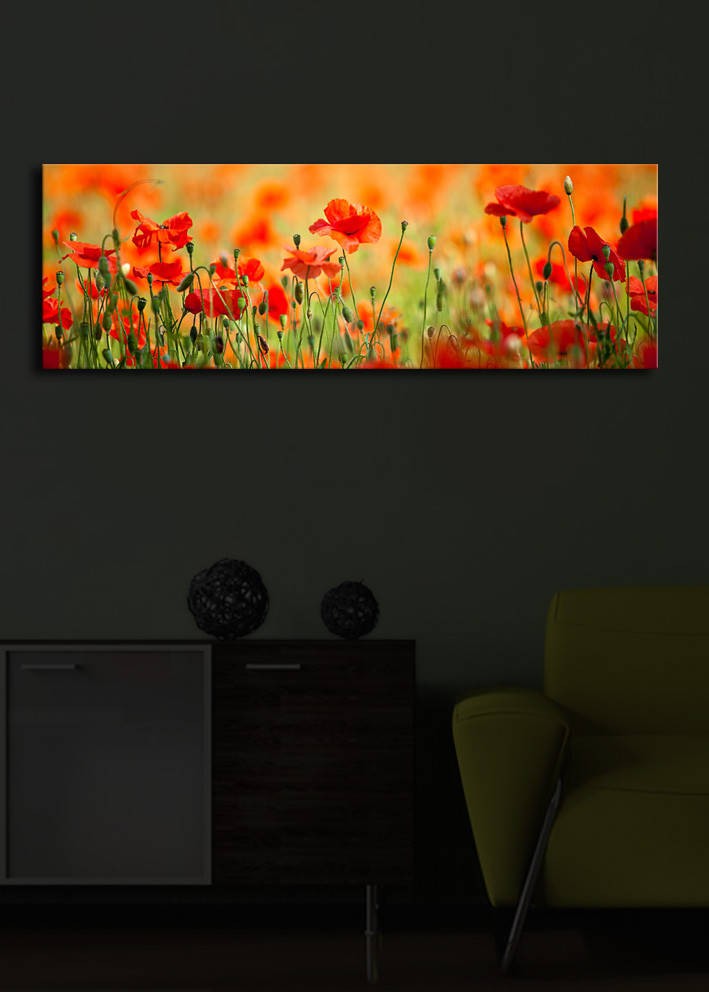 Slika na platnu Wallity sa LED osvetljenjem 30x90cm