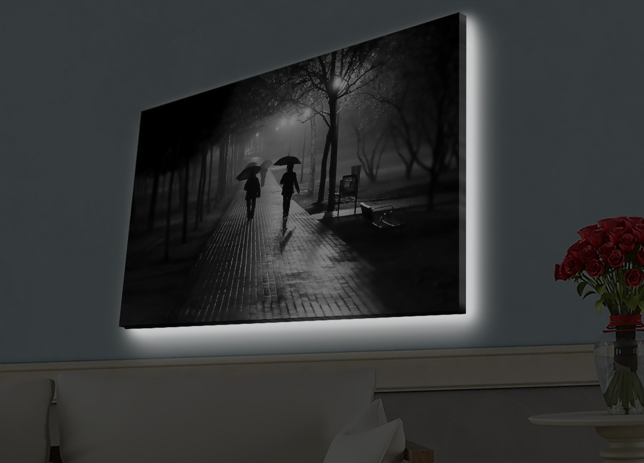 Slika na platnu Wallity sa LED osvetljenjem 45x70cm