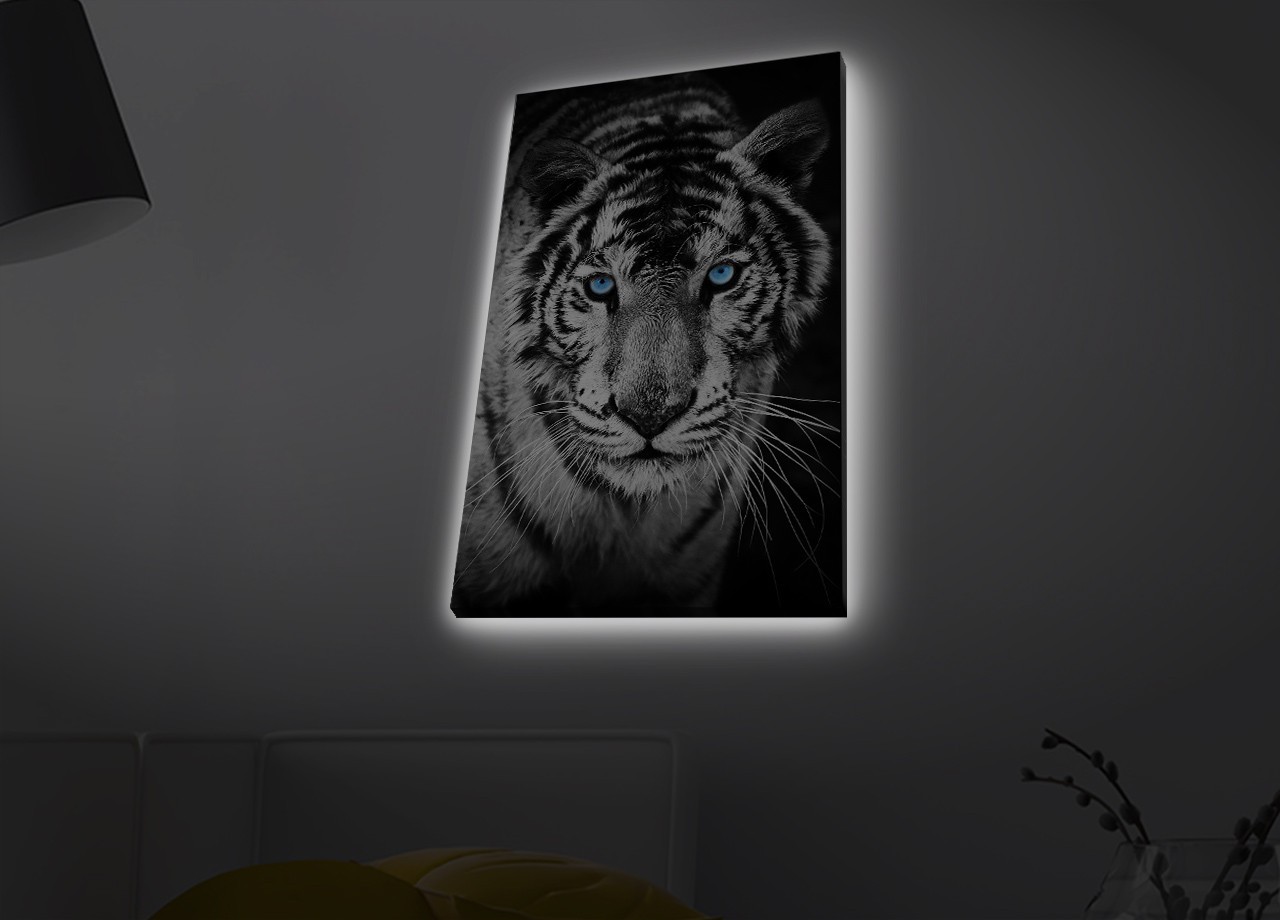 Slika na platnu Wallity sa LED osvetljenjem 45x70cm