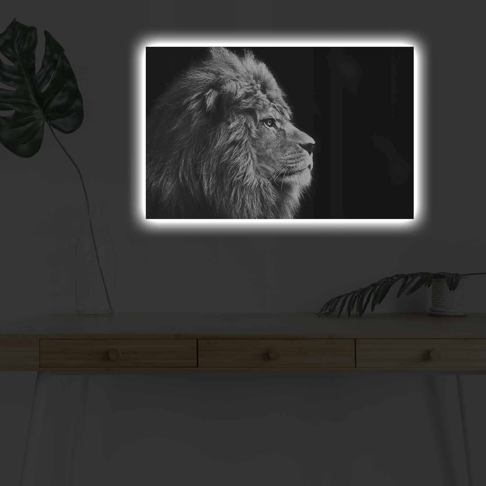 Slika na platnu Wallity sa LED osvetljenjem 45x70cm