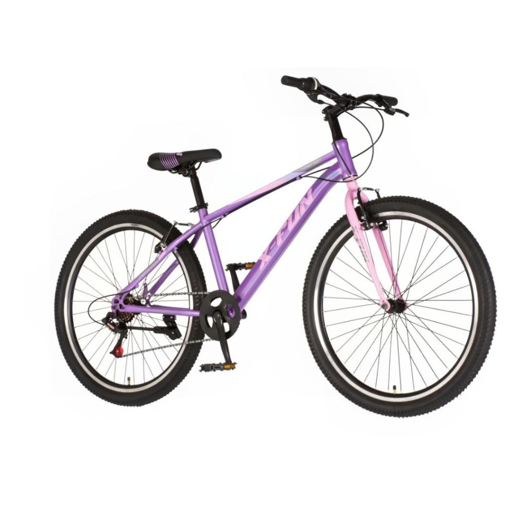 X-Bike MTB Bicikl X-Fun, 26, Ljubičasti