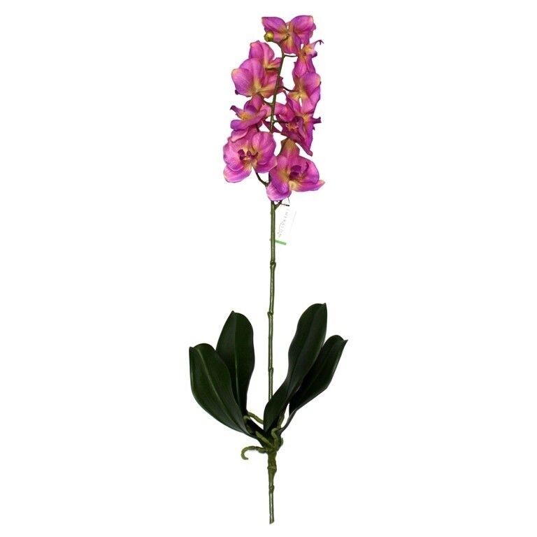 Umjetna orhideja 7140471, sa korjenom, 60 cm