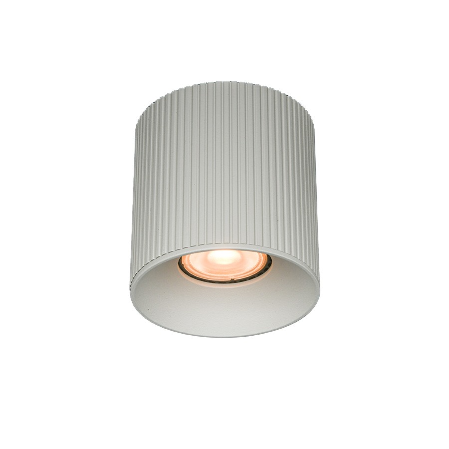 Mass-light Plafonjera Matti ML-10590-01, Siva
