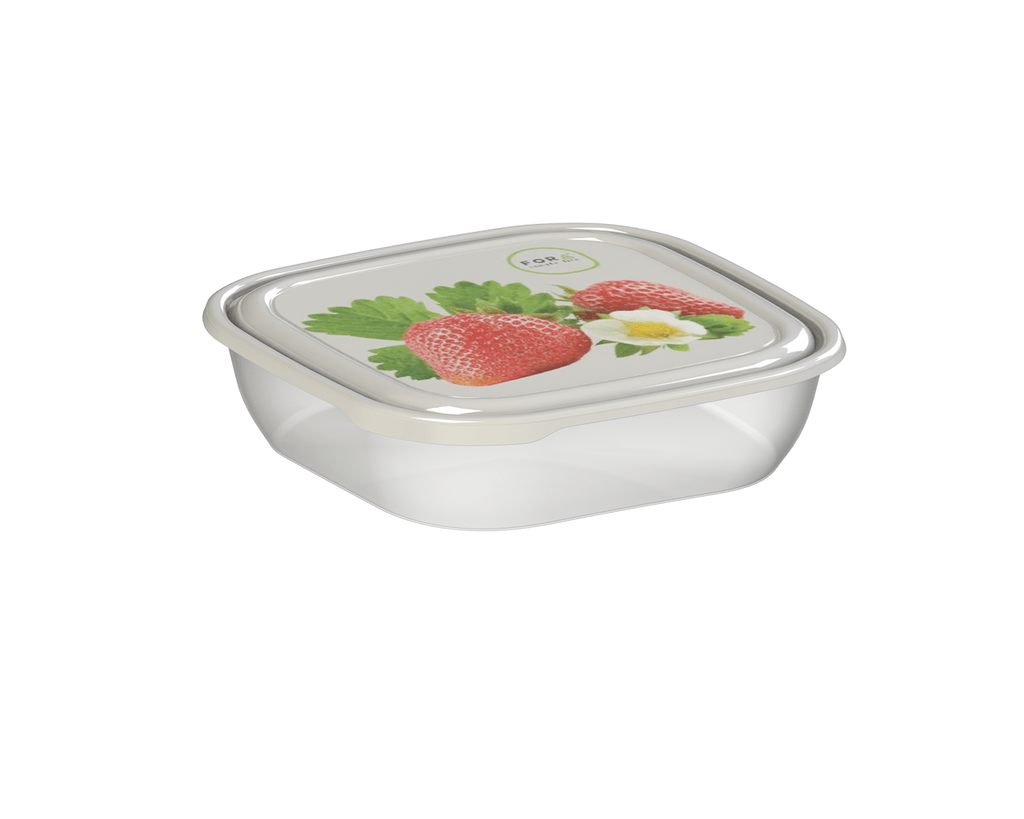 Fora Posuda za hranu Cool & Safe Box S Decor 0,5L Siva