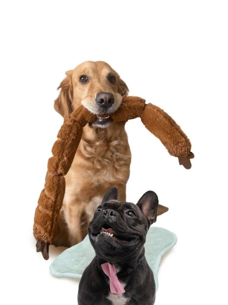 Igračka za pse sa šapama i brkovima Havhav 1013, smeđa