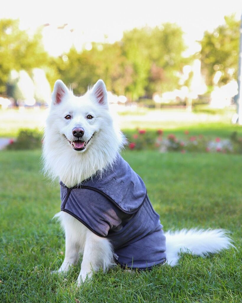 Kaput za pse Paws & Whiskers Drygown, siv