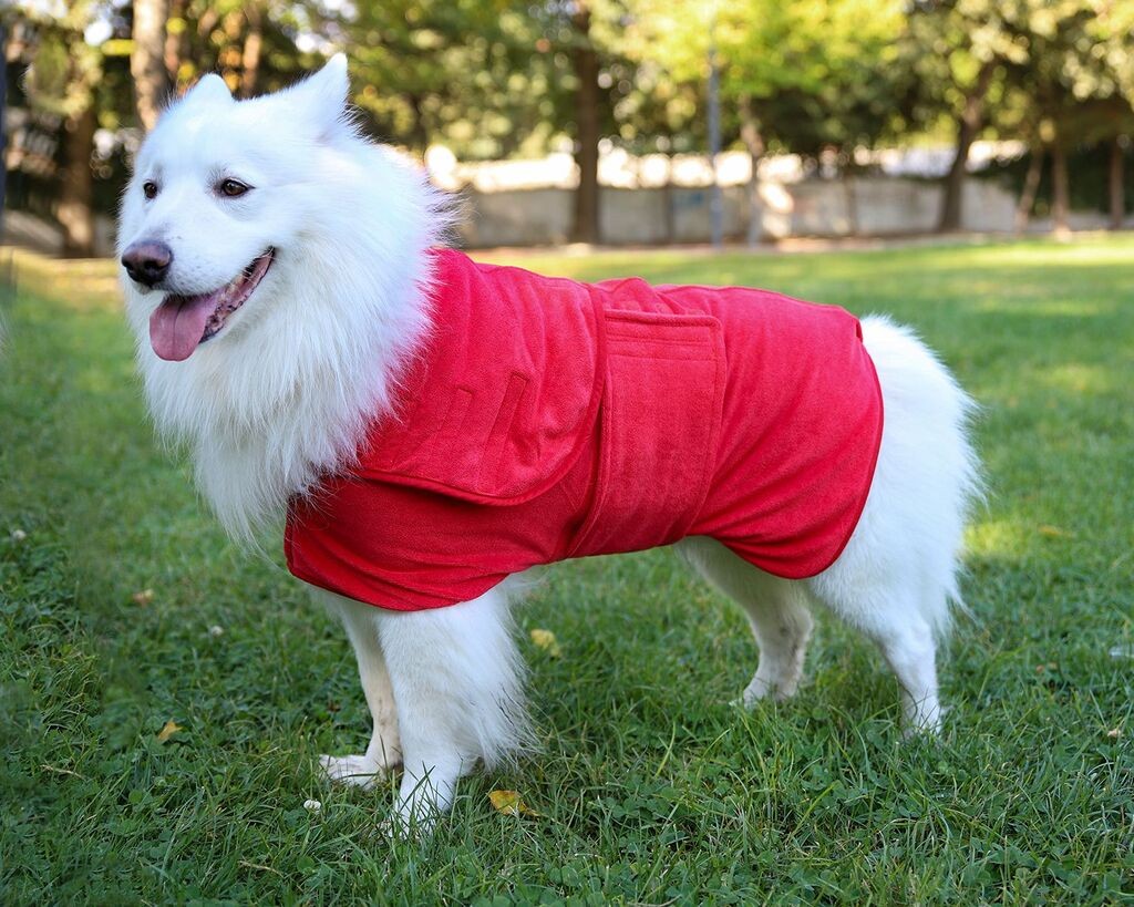 Pseći kaput Paws & Whiskers Drygown, crveni