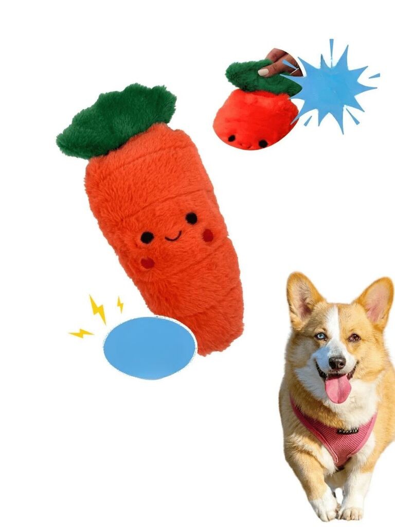 Igračka za pse Paws & Whiskers Hawhav 1003, narandžasta