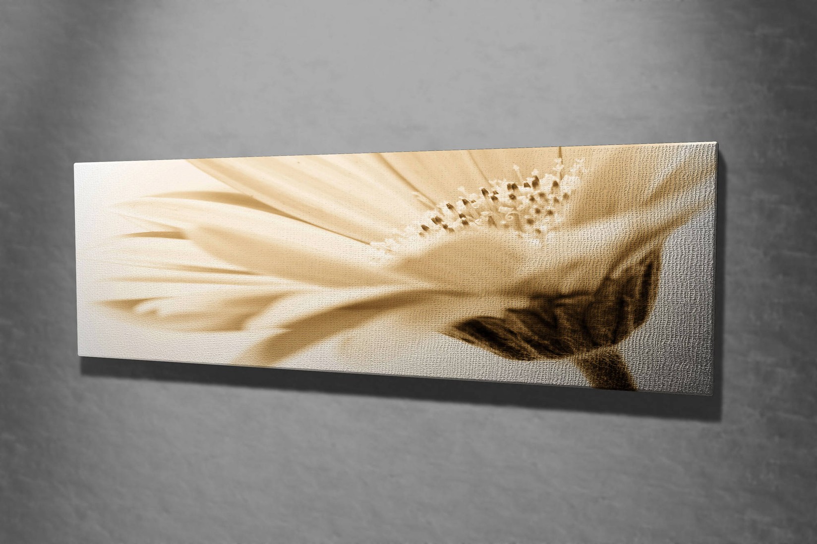 Slika na platnu Wallity 30x80cm