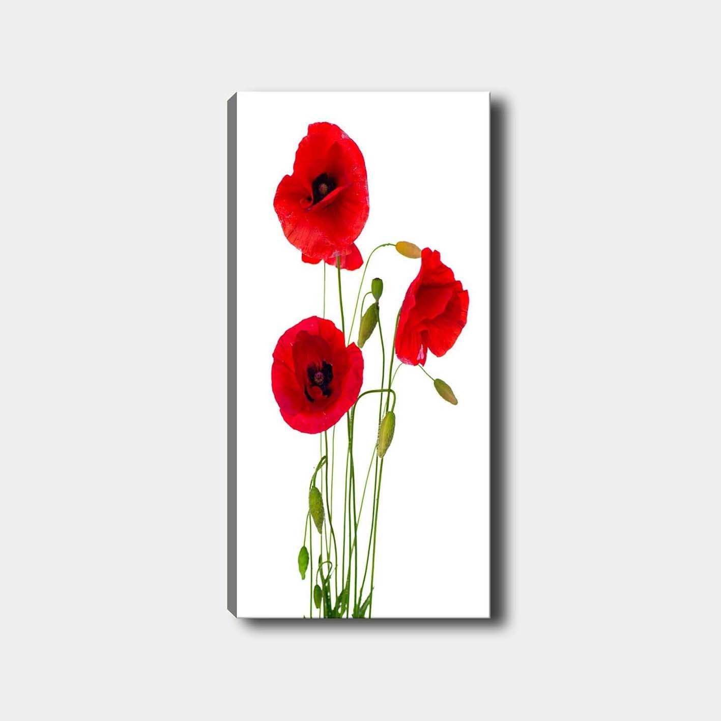 Slika na platnu Wallity 50x120cm