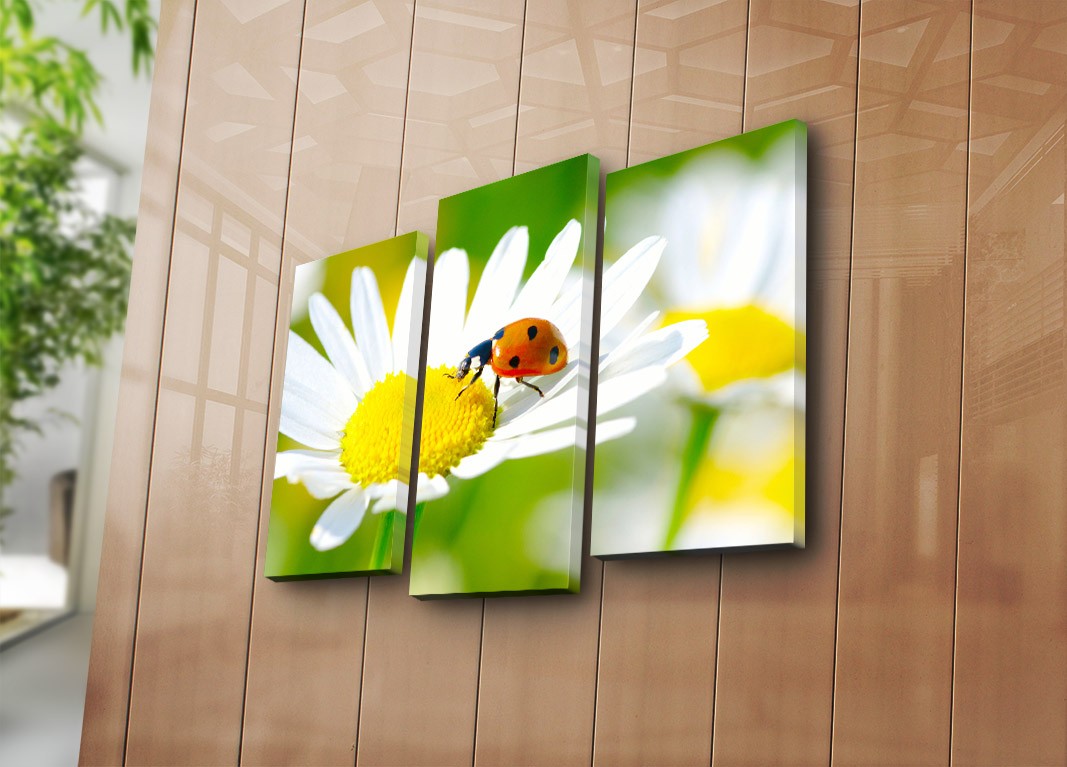 Wallity slika na platnu u 3 dijela