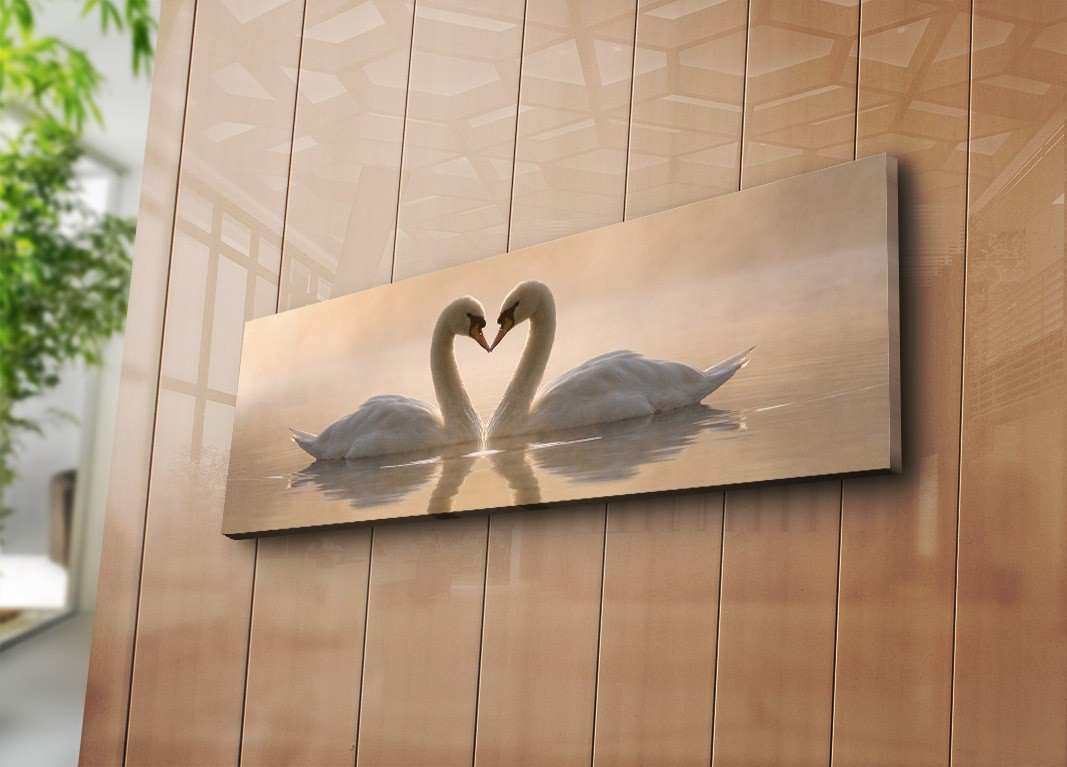 Slika na platnu Wally 30x90cm