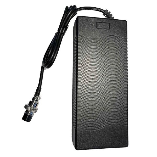 Punjač 60V Vsett 10+