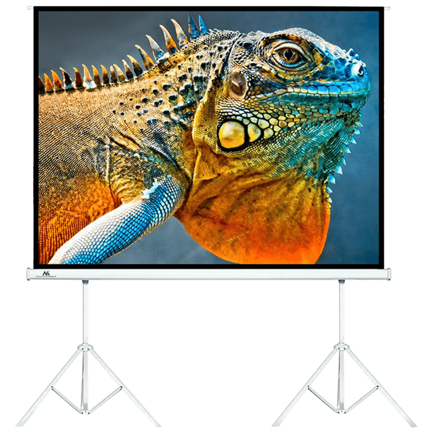 MACLEAN Platno za projektor sa stalkom MC-712, 300x225cm