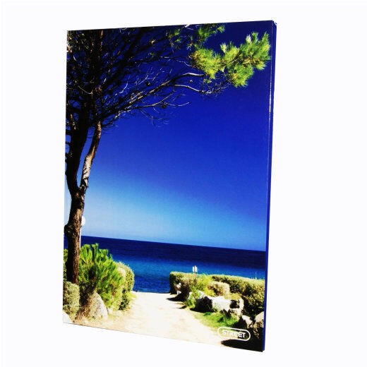 Ekonomik Papir Sveska, Meka korica, A5, 52 lista, Šarena