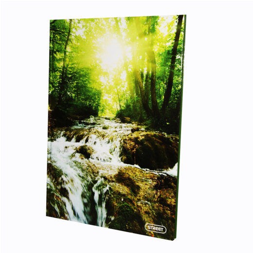 Ekonomik Papir Sveska, Tvrda korica, A4, 96 lista, Karo linije, Šarena