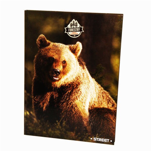 Ekonomik Papir Sveska, Tvrda korica, A4, 96 lista, Šarena