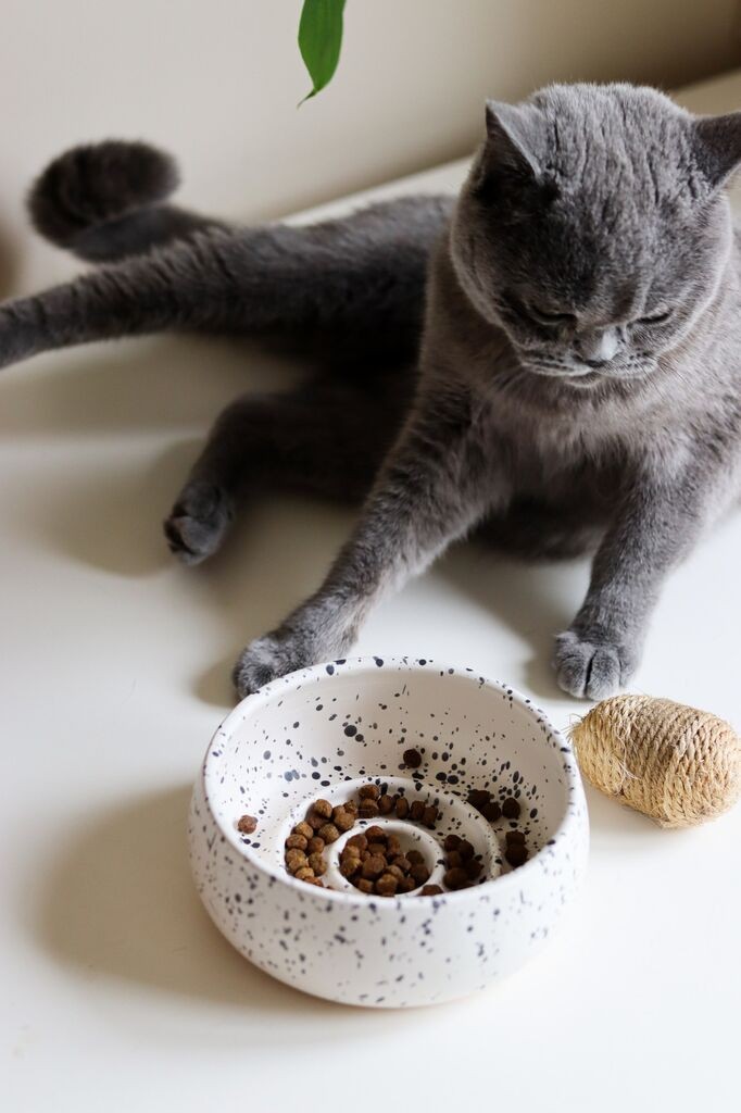 Aberto Design zdjela za pse BSPT050, 14x6 cm, bijela