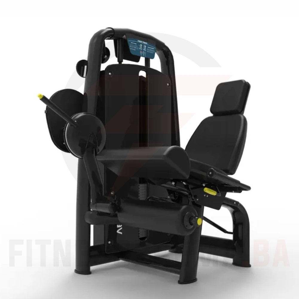 Seated Leg Extension