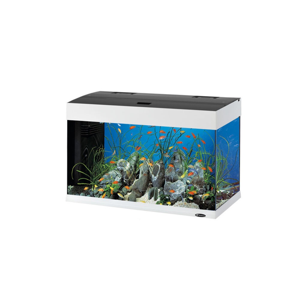 Ferplast Akvarijum Dubai Led 80, 81x36x51 cm, Bijeli
