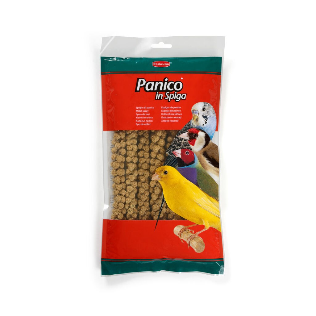 Padovan Hrana za ptice Panico in Spiga, 250 g