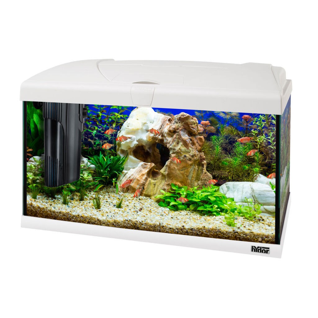 Ferplast Akvarijum Capri 60 Led, 60x31.5x39.5 cm, Bijeli