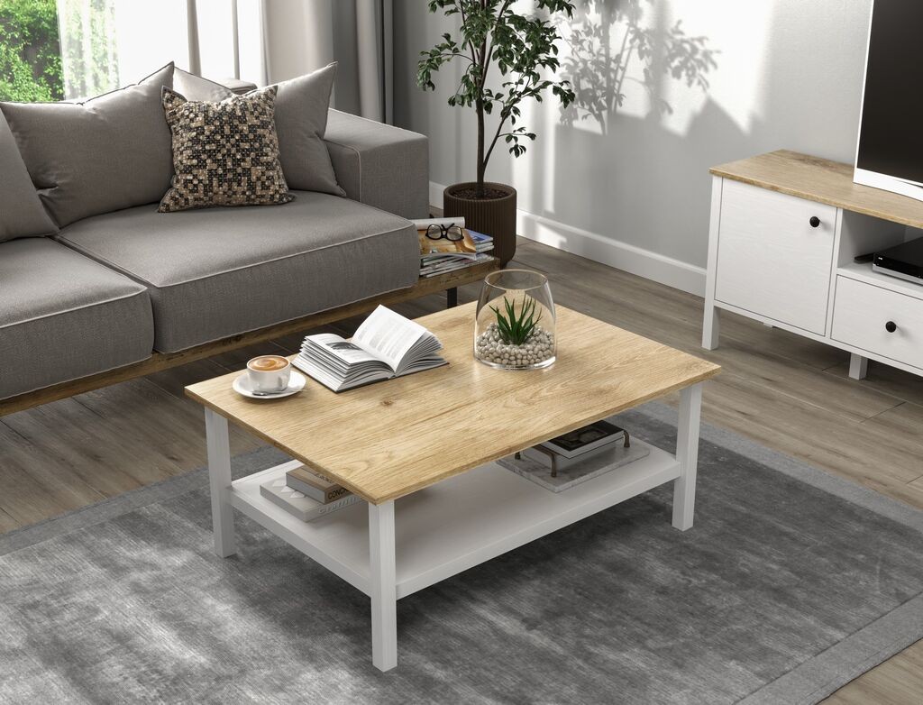 Hanah Home Club sto FRN-20081, 100x43x70 cm, Bijeli