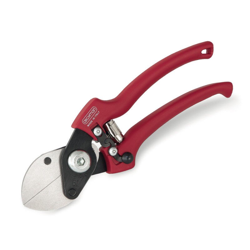 Archman Škare s dvostrukom oštricom, art.19, Crvene