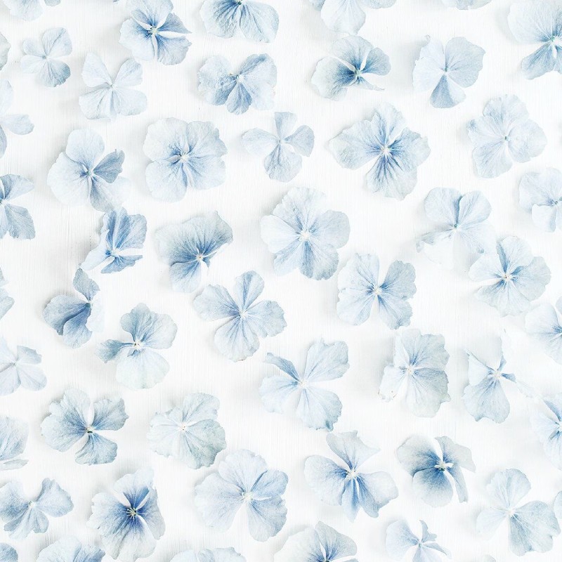 Tintilintić Jastučnica dezen - Plave lale,  50x70 cm