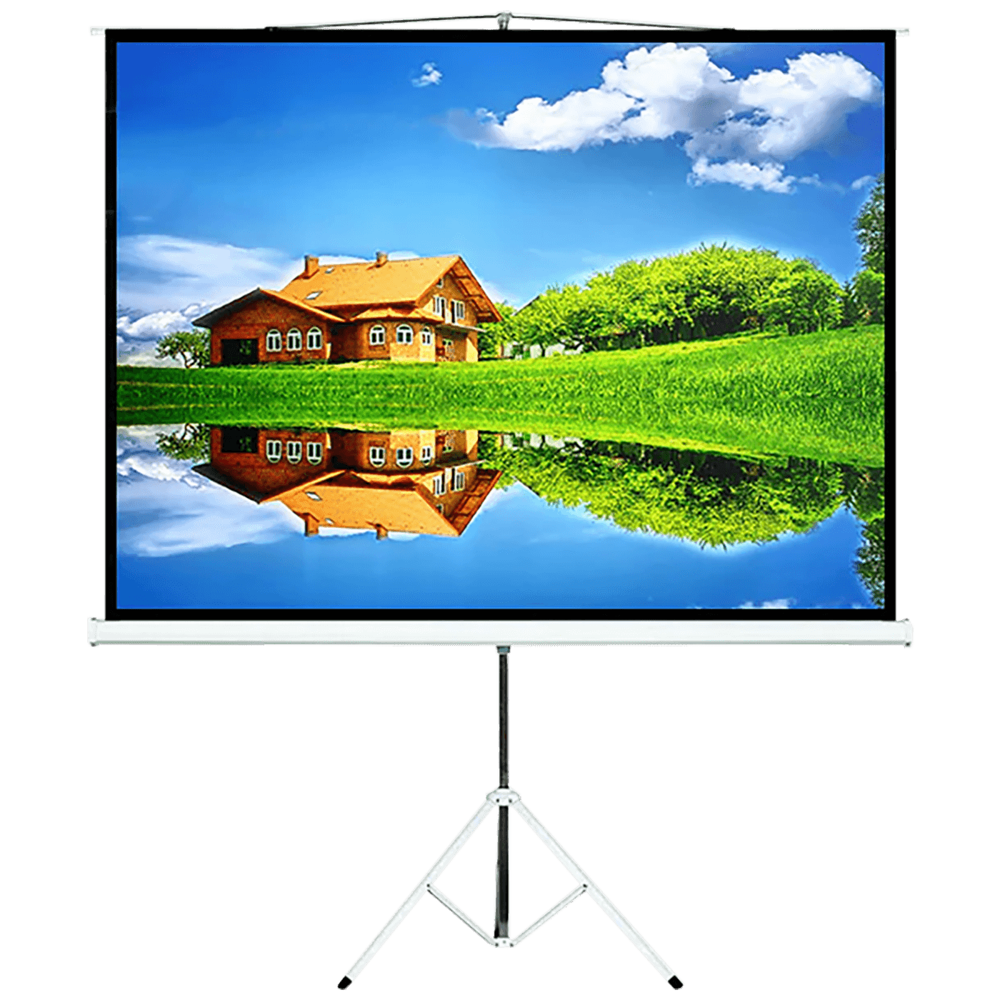 MACLEAN Platno za projektor sa stalkom MC-536, 145x110cm