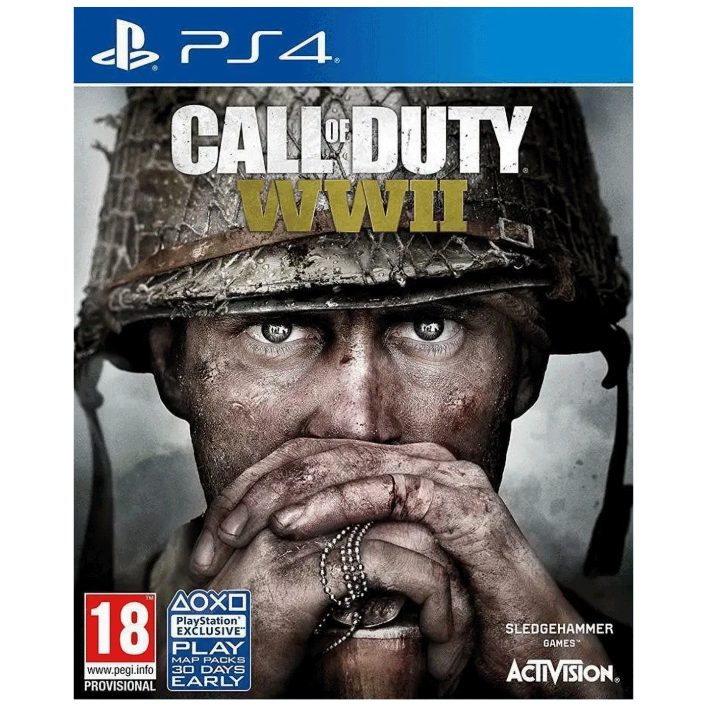 ACTIVISION Igra za PlayStation 4 Call of Duty WWII