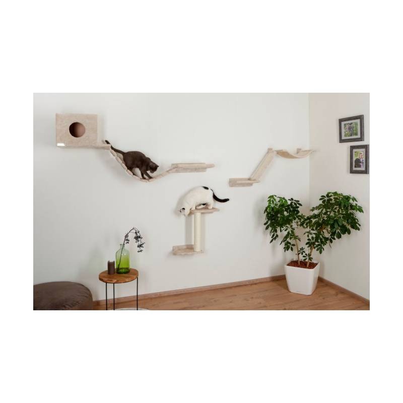 Zidna penjalica Mount Everest, Bijela