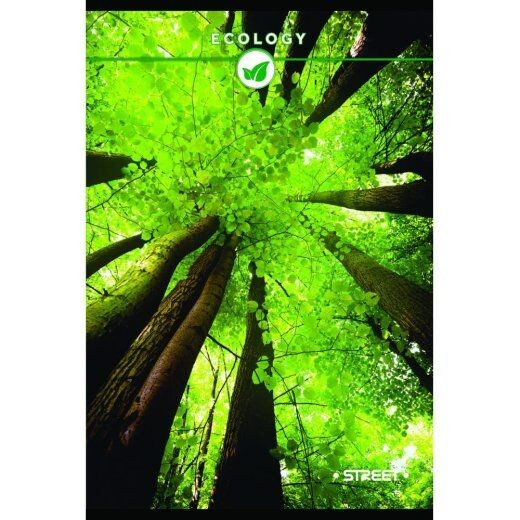 Street Sveska, A4, Tvrda korica, 96 listova, Karo