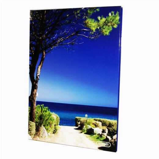 Sveska, A5, Tvrda korica, 96 listova, Latajn