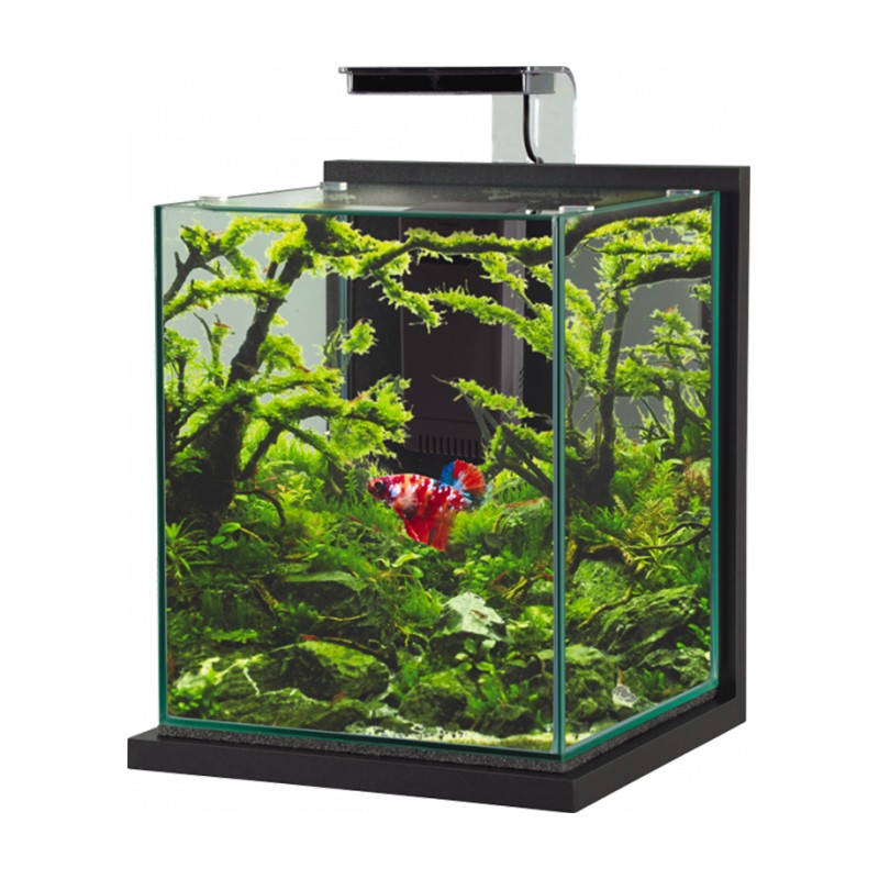 ZOLUX Akvarijum za ribe Jalaya, 18.7L, Crni