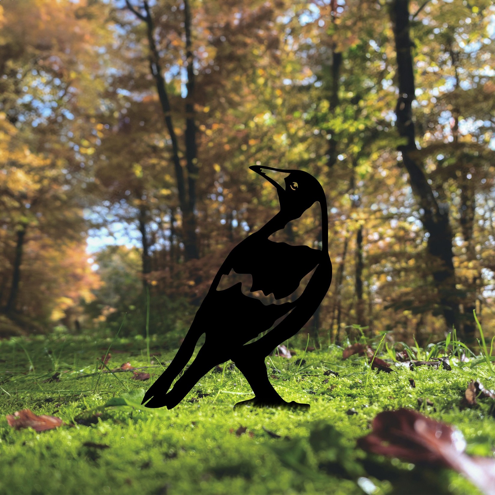 Aberto Design Dekorativna figura Ptica 01, 50x27 cm, 1,5 mm