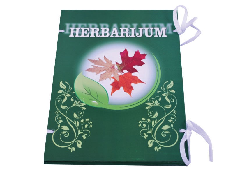 Pulse Herbarijum ilustrovani
