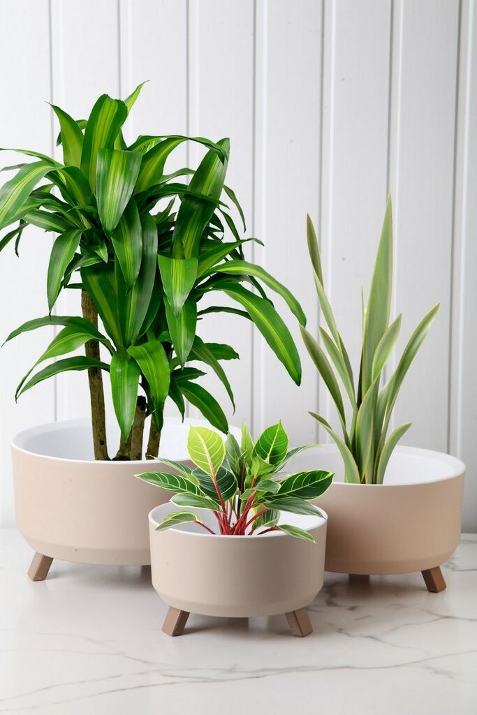 Aberto Design set vaza TRPTSX-3-3, 3 dijela, krem