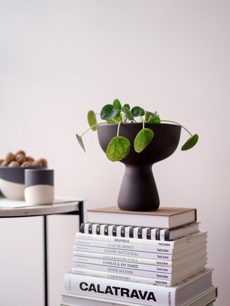 Aberto Design vaza BSI232, 22x22x22 cm, antracit