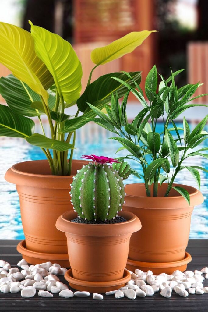 Aberto Design set vaza ANTSX-3, 3 dijela, smeđa