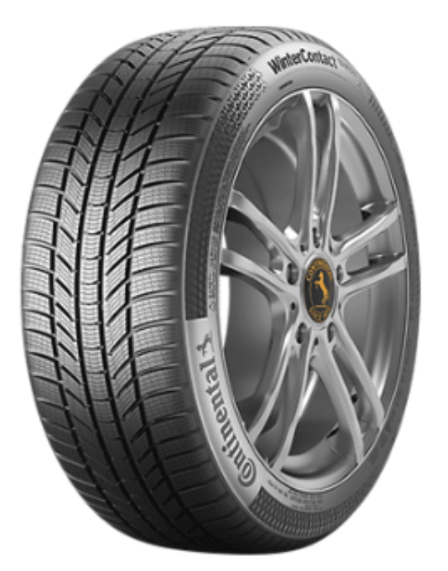 Continental Zimska M+S guma WinterContact TS 870 P, 255/40, R20, 101V, XL, FR