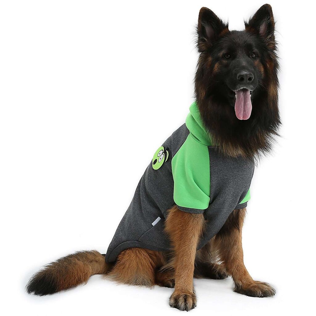 Odijelo za pse Paws & Whiskers Applesweat, zeleno