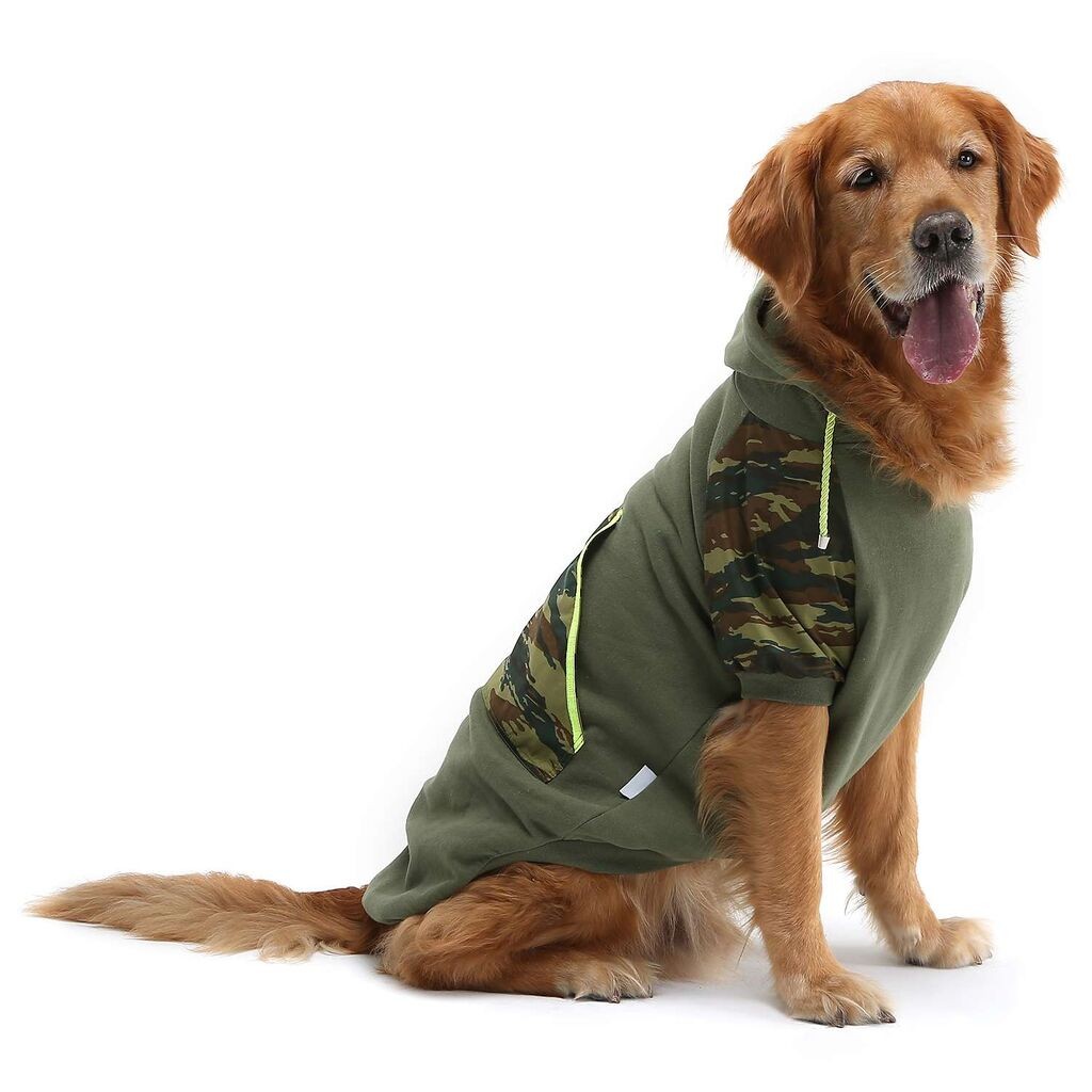 Odijelo za pse Paws & Whiskers Askersweat, kaki