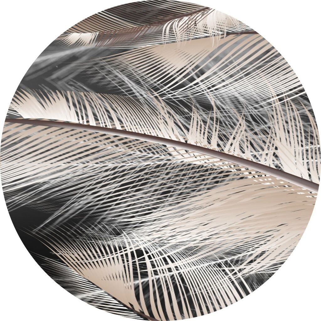 Conceptum Hypnose Tepih CT-2137 Y, 100 cm, Šareni