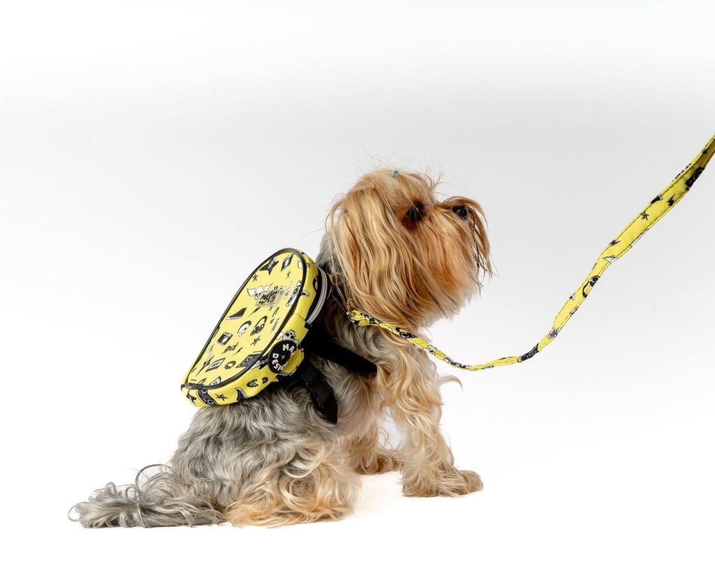 Ruksak i povodac Paws & Whiskers za pse, žuti